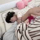 재이팔 이미지