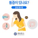 여자 아랫배 통증 오른쪽 생리전 아랫배 콕콕 이유 이미지