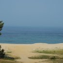 월송정月松亭 이미지