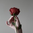 개포4-105 이미지