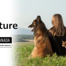 네이처메디 이미지