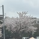 위굴리 | [데일리] LH 행복 CAR 위굴 위굴 위굴리 (카 쉐어링)