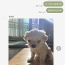 몽글몽글 이미지