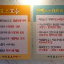 하루효소편백 이미지
