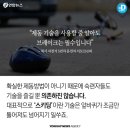 도로위의 시한폭탄이라는 자전거의 한 종류.gif 이미지