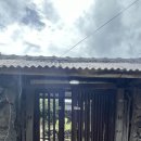 하가리집 이미지