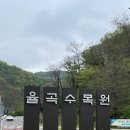 율곡수목원(4) | 파주 율곡수목원 4월 봄나들이 튤립꽃밭 부모님과 아이랑 대만족