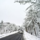 차 타고 편안하게 해발 1100m까지 간다고?&#34;… 겨울마다 전국에서 몰려드는 설경 명소 이미지