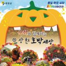 해피락플러스 티스토리