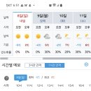 RE:(준회원을 위한 공지) 12월8일(일) 위례강변길과 메타쎄콰이어길 낙엽트레킹여행(장봉대장님) 이미지