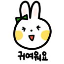 드림코지 이미지