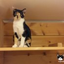 호텔가온 이미지