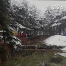 금물산하늘소캠프 이미지