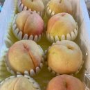 천하제일농장 이미지