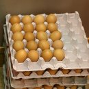 원미목장 이미지