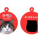 아르릉 이미지