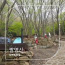 팔영산편백치유의숲주차장1 | 고흥 숙소 팔영산 자연휴양림 편백치유의숲 자동차야영장