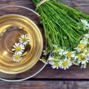 허브사랑 이미지