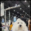 유어라운지 이미지