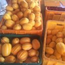 동팔이네 이미지