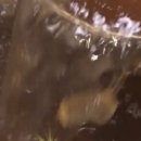 만포밀면 - 기장군 차성로322번길 27 | 만포밀면