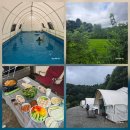 안면도 네잎클로버 수영장 | 가평 네잎클로버 카라반 글램핑장 수영장 계곡 있는 가족글램핑 후기