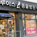 루이스24시동물병원 이미지