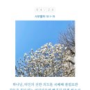 김집사