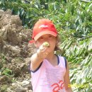 도토리농장 이미지