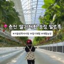 알로3 농장 이미지