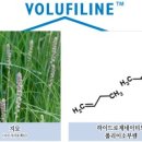 피부미인에스테틱