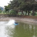 최순식 | 추리소설책 내가죽인남자가돌아왔다 결말있음