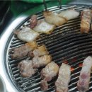 탐라도니 이미지