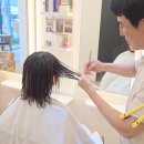 성헤어스케치