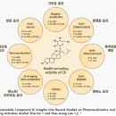 씨케이메디 이미지