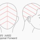 헤어브로시