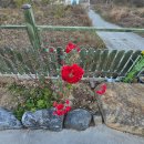 경주 가족펜션 풍경채 이미지