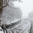 대왕농장1 이미지