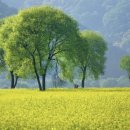 금암목장 이미지