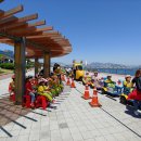 동삼유치원 이미지