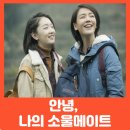 (주)소울메이트