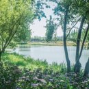 순천만국가정원 이미지