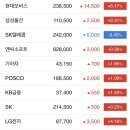 대한민국 주식 코스피 시가총액 순위(카카오의 조정과 현대차 그룹 주식들의 질주) 이미지