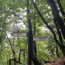 [1957회] 운길산 산행기