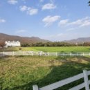 선정농장 이미지