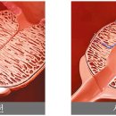 나인비뇨의학과의원 이미지