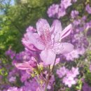 햇살공부방 이미지