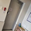 더스테이 골드독 이미지