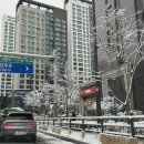 이마트에브리데이 양재점 | [아파트] 강남 개포동 개포래미안포레스트 (개래포) 거주 장단점