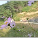 동강마을 이미지